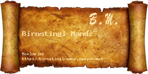 Birnstingl Manó névjegykártya